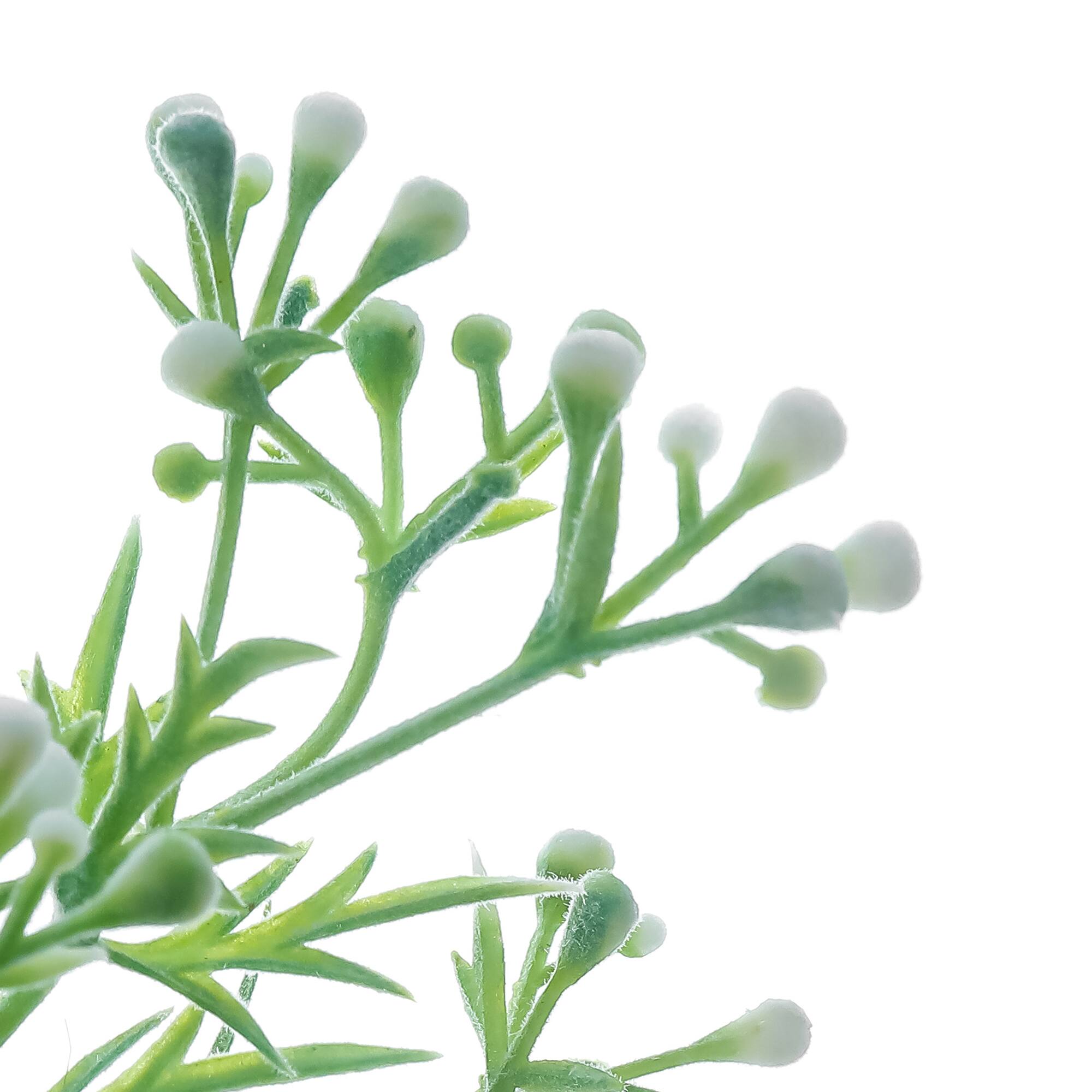 18.5" Dusty Miller Deluxe Bush by Ashland®